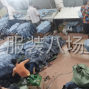 广州 - 增城区 - 新塘 - 加工厂找订单包工包料来样加工都...