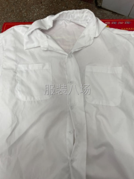 8888件女装/衬衫外发-第1张图片