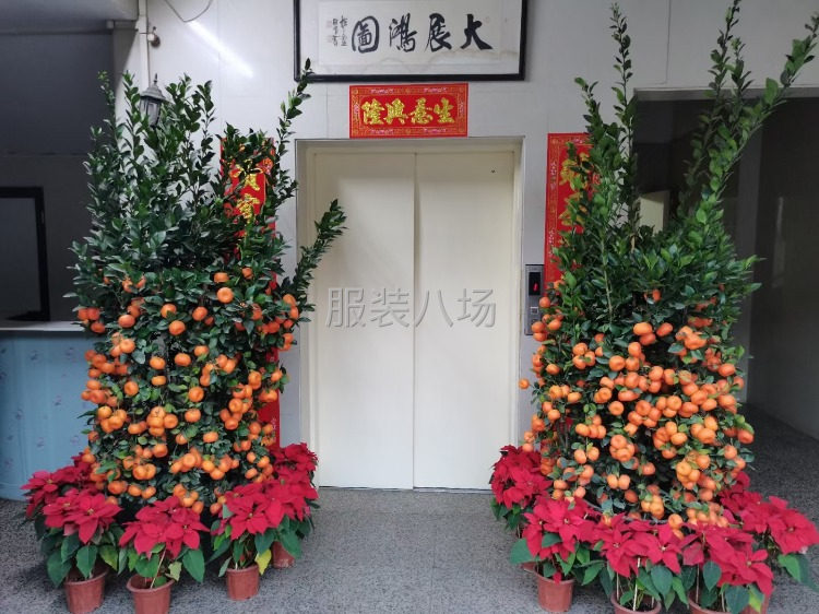 招跟单2名-第1张图片