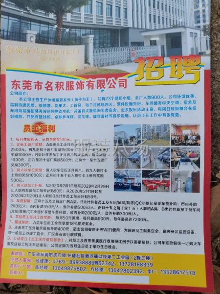 专业做裤子-第1张图片