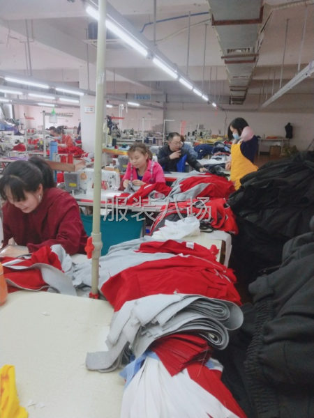 招服装厂体恤冚车1名-第1张图片