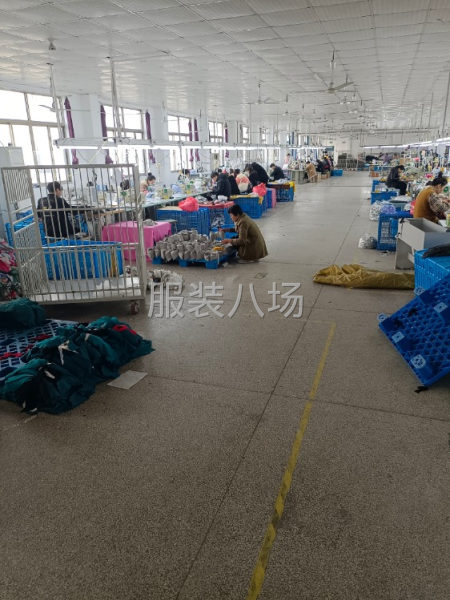 承接各种针织上衣裤子-第2张图片