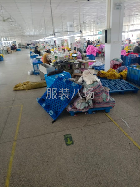承接各种针织上衣裤子-第3张图片
