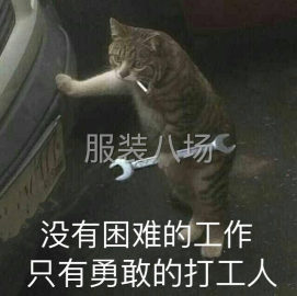undefined - 烫图，钉珠 - 图2