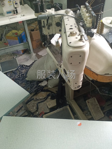 求职全职专业牛仔埋夹，衣服，裤子，裙子均可 ,经验13年-第4张图片