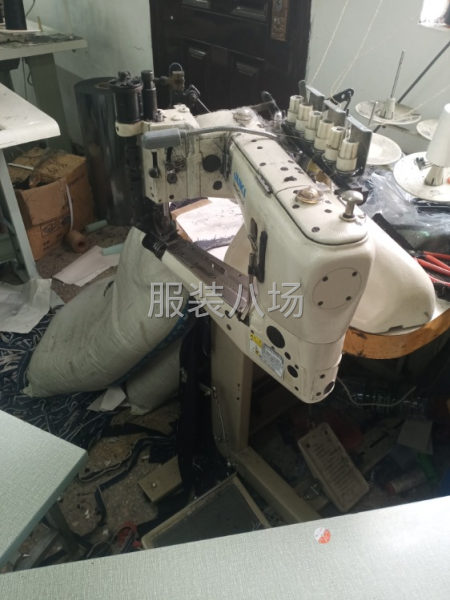 求职全职专业牛仔埋夹衣服，裤子裙子均可，有需要的老板 ，欢迎-第4张图片
