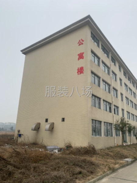 专业加工男女羽绒棉服-第1张图片