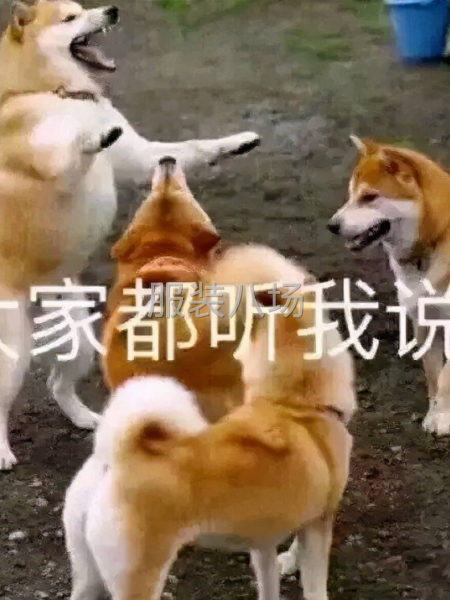 广州服装设计-第1张图片