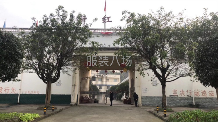 承接各種服裝加工-第4張圖片