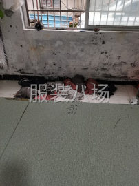 undefined - 200件女装外发 - 图1