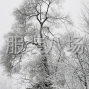 杭州 - 临平区 - 乔司 - 求职全职整件车位,经验21年