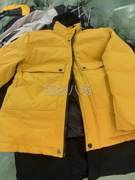 批發羽絨服8千件-第2張圖片