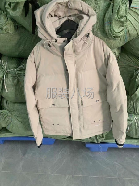 批發羽絨服8千件-第1張圖片