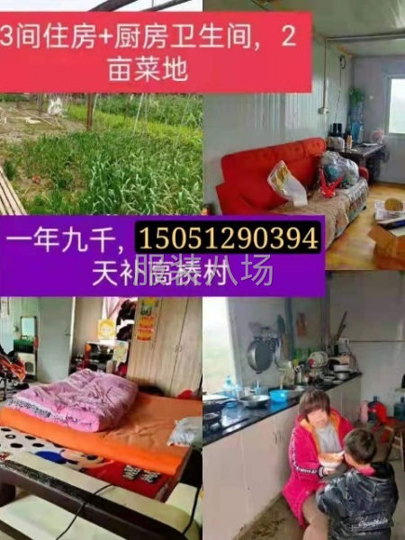 三間房子轉(zhuǎn)讓，有110平方，單獨廚房，有馬桶，還有兩畝菜地-第1張圖片