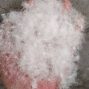 广州 - 番禺区 - 大龙 - 批发各种规格羽绒 市场绒 手感绒 绒丝 50-90达标绒