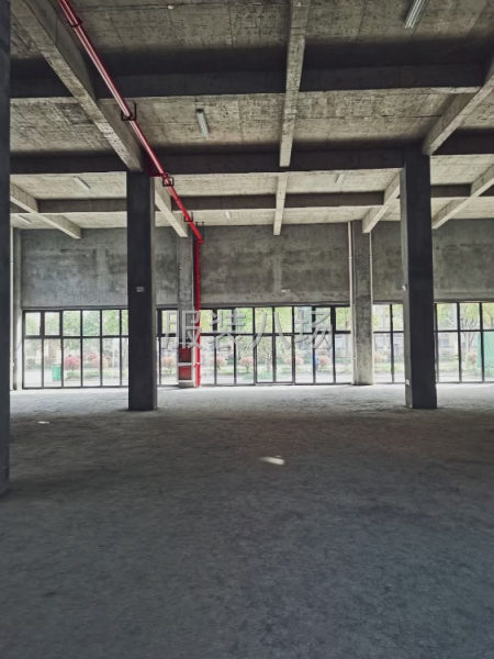 衢州新建的工业园区厂房-第6张图片