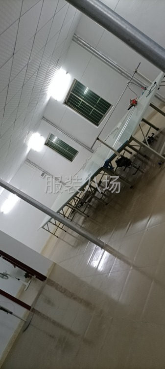 专业针织，圆领，T桖-第2张图片