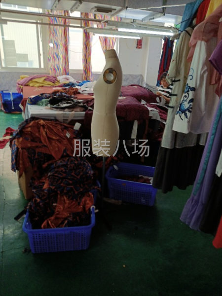 羽绒服，连衣裙，时装-第2张图片