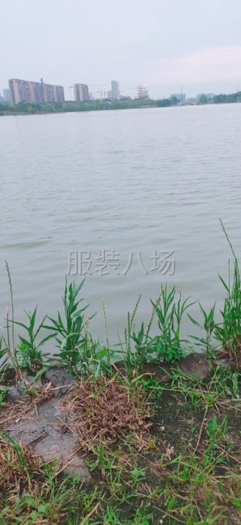 求职临时大烫,经验7年-第1张图片