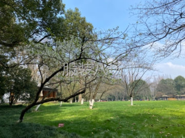 undefined - 杭州地区承接淘宝半精品加工 - 图1