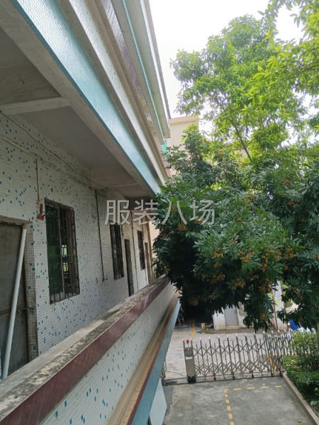 新开工厂大量招工，裁床师傅两个剪线打包两个车版一个纸样一个-第1张图片