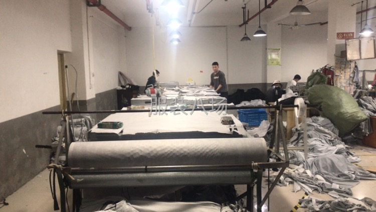 几万件爆款。急招女裤车位10名-第2张图片