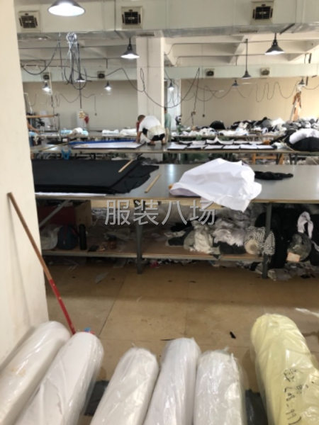 招聘电剪2名-第2张图片