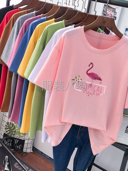 女短袖批发价厂家直销质量好-第2张图片
