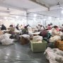 蚌埠 - 固镇 - 连城 - 服装家纺缝纫加工