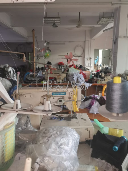 承接各种针织类服装-第1张图片