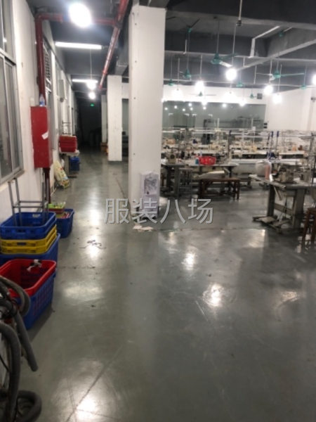 转业女裤招车位-第2张图片