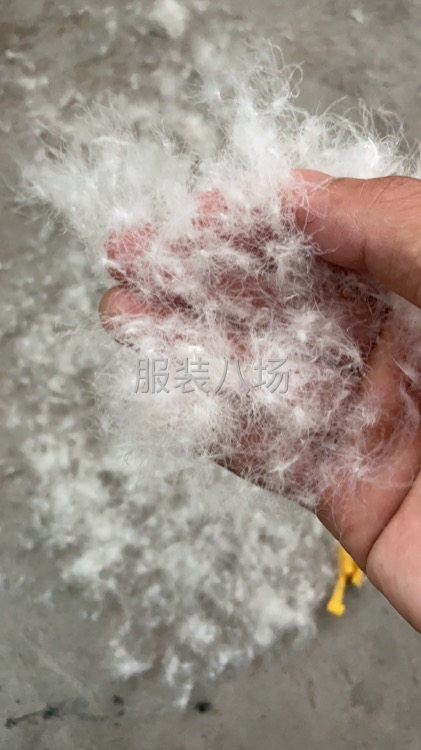 大量收購庫存面料 輔料 線 羽絨 下腳料 。-第1張圖片