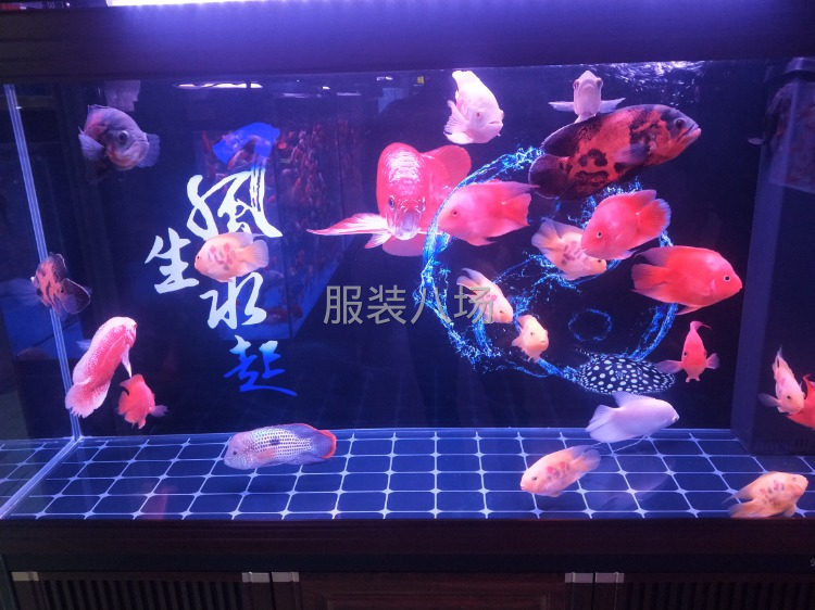 機器流水，效率高品質高。單價合理-第1張圖片
