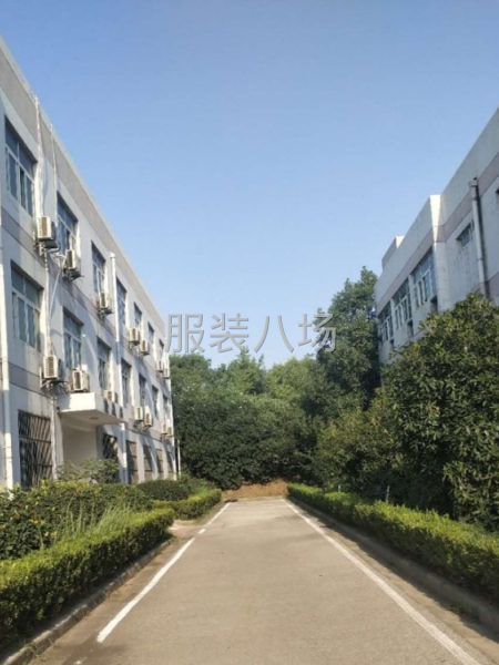 安全气囊熟练缝纫工-第1张图片