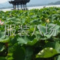 杭州 - 临平区 - 乔司 - 求职全职整件车位,经验18年