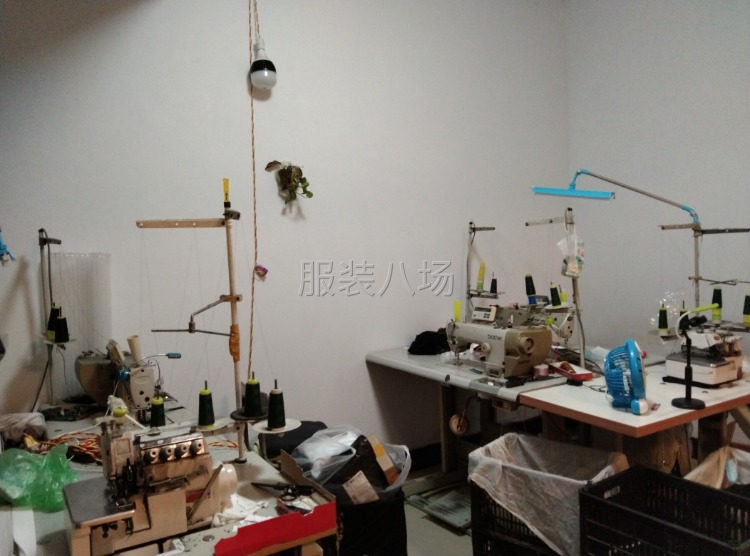 半精品，市场活，订单小单-第3张图片