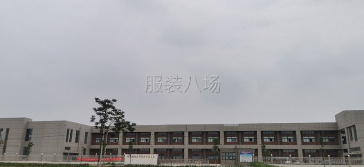 质量第一，数量第二-第1张图片