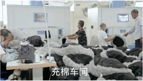 undefined - 宠物用品工厂招工 - 图2