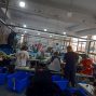 嘉兴 - 南湖区 - 南湖 - 本人有专业几百人缝纫工团队，都是七八年的老师傅欢迎老板来骚扰