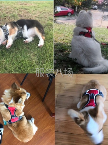 批发5万件-第7张图片