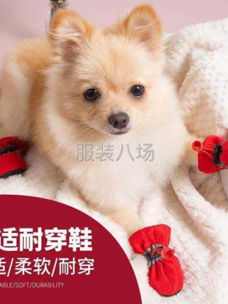 批发5万件-第2张图片