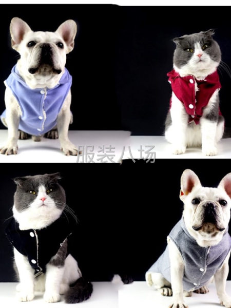 批发5万件-第1张图片