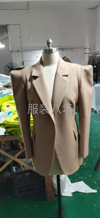 100女士西服-第1張圖片