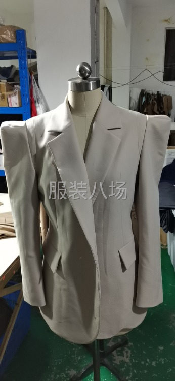女士西服70件-第1张图片
