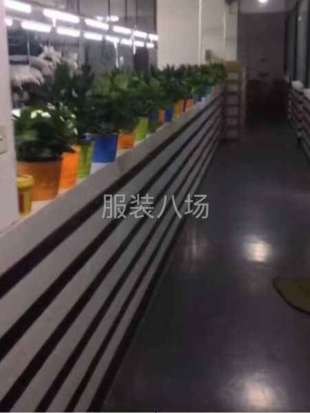 番禺服裝廠招聘-第4張圖片