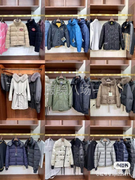 批发羽绒服100件-第5张图片