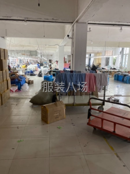 本厂专业生产裤子和上衣打底衫等-第1张图片