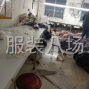 郑州 - 新郑市 - 龙湖 - 诚招优秀质检，优秀加工厂，熟练...