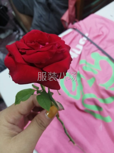服装清加工-第1张图片