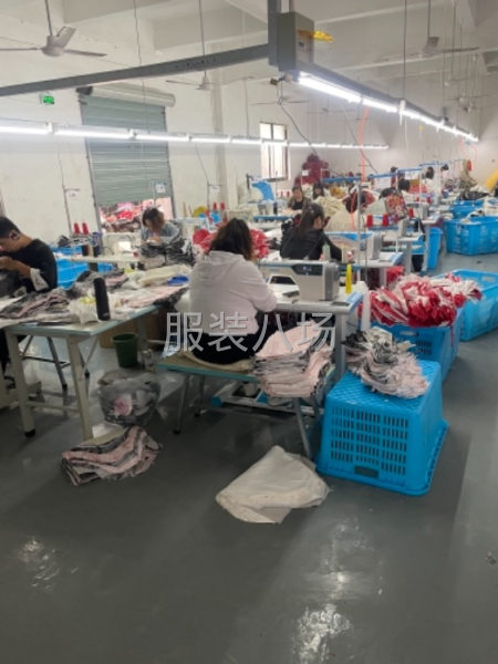 专业跑胆布，充绒，充棉，模版机航线-第2张图片